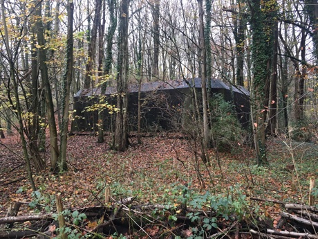 A bunker in the forest