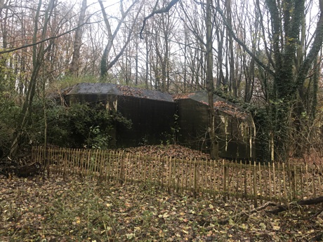 Another bunker in the forest