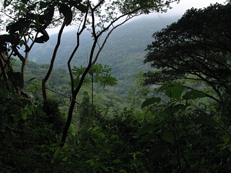 Canyon near Palmarejo, Veracruz