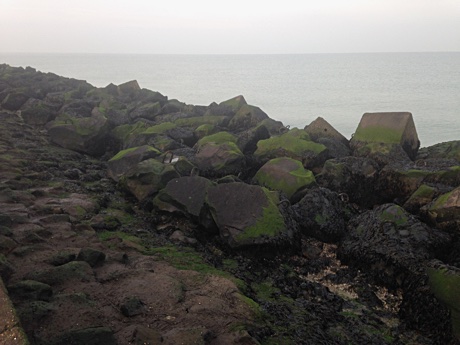 Side of the pier of Hook of Holland